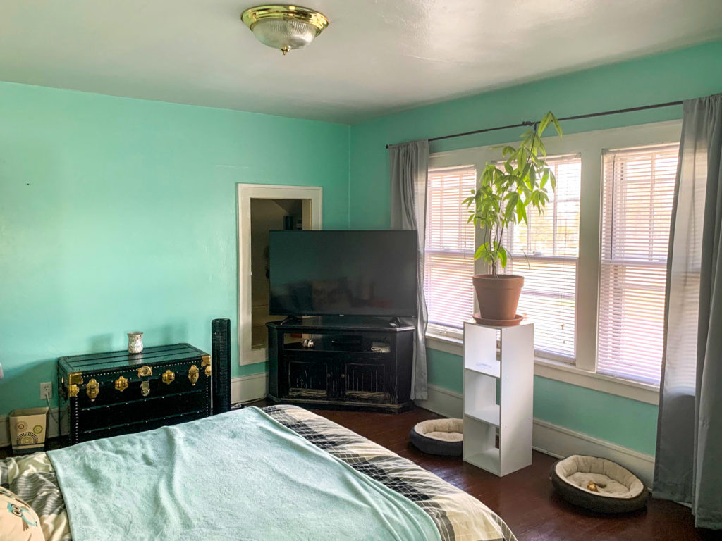 large bedroom with green walls, tv, plant and tall windows