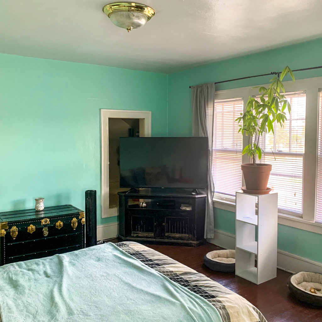 large bedroom with green walls, tv, plant and tall windows