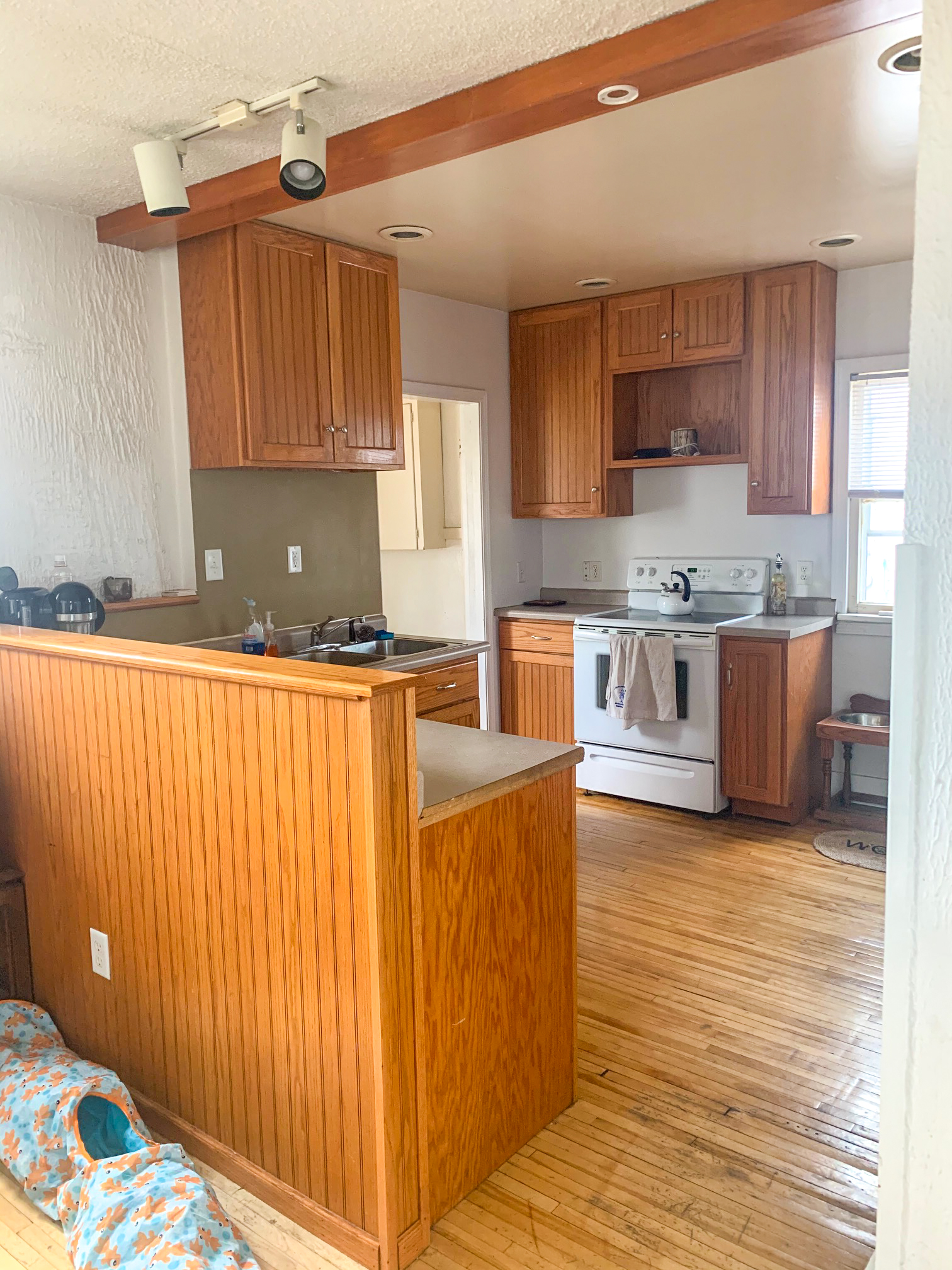 large kitchen with wood floor and newer appliances